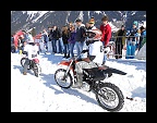 Harley & Snow 2013 (97)